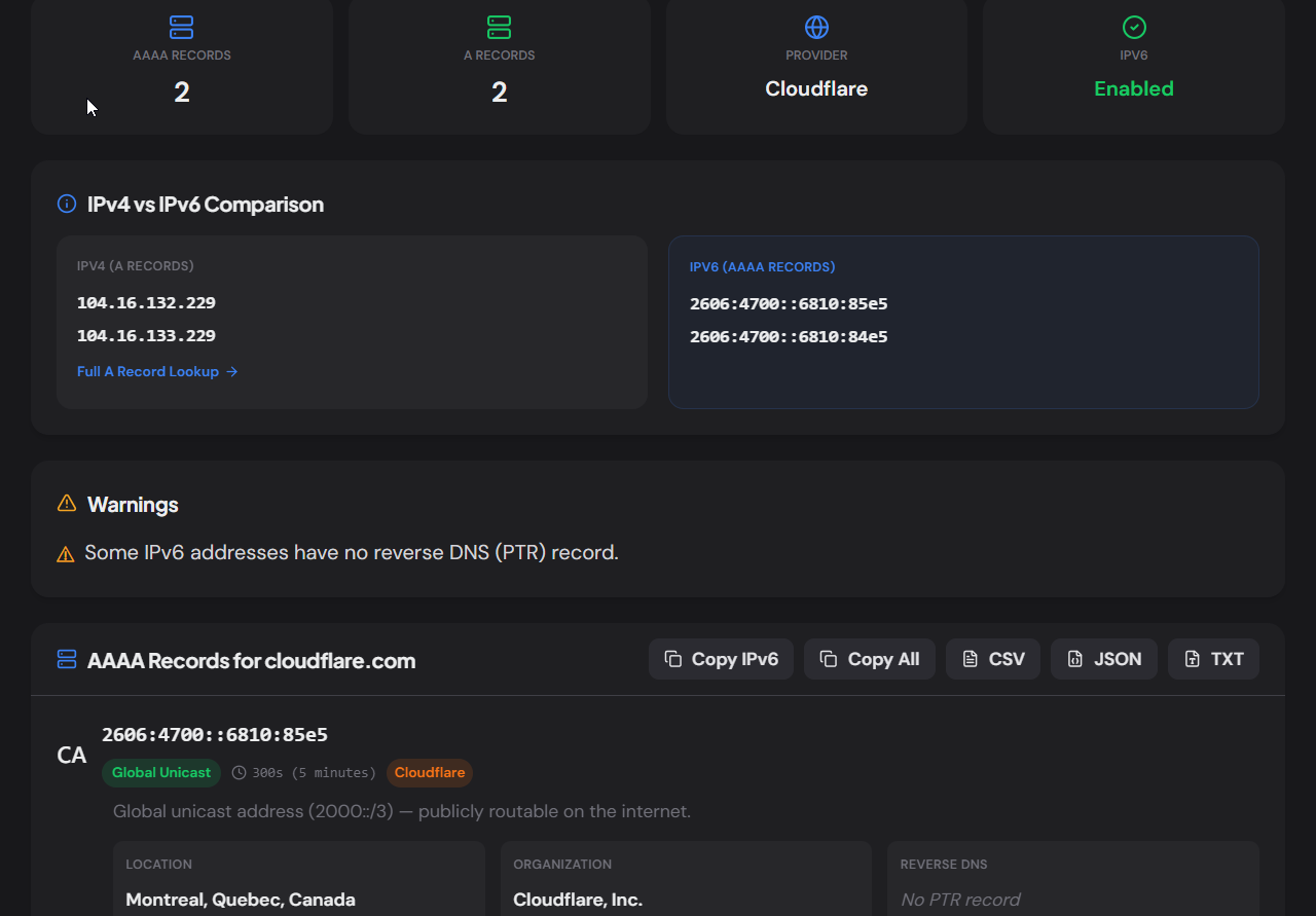 AAAA Lookup showing IPv6 records with type, geo, hosting, and IPv4 comparison