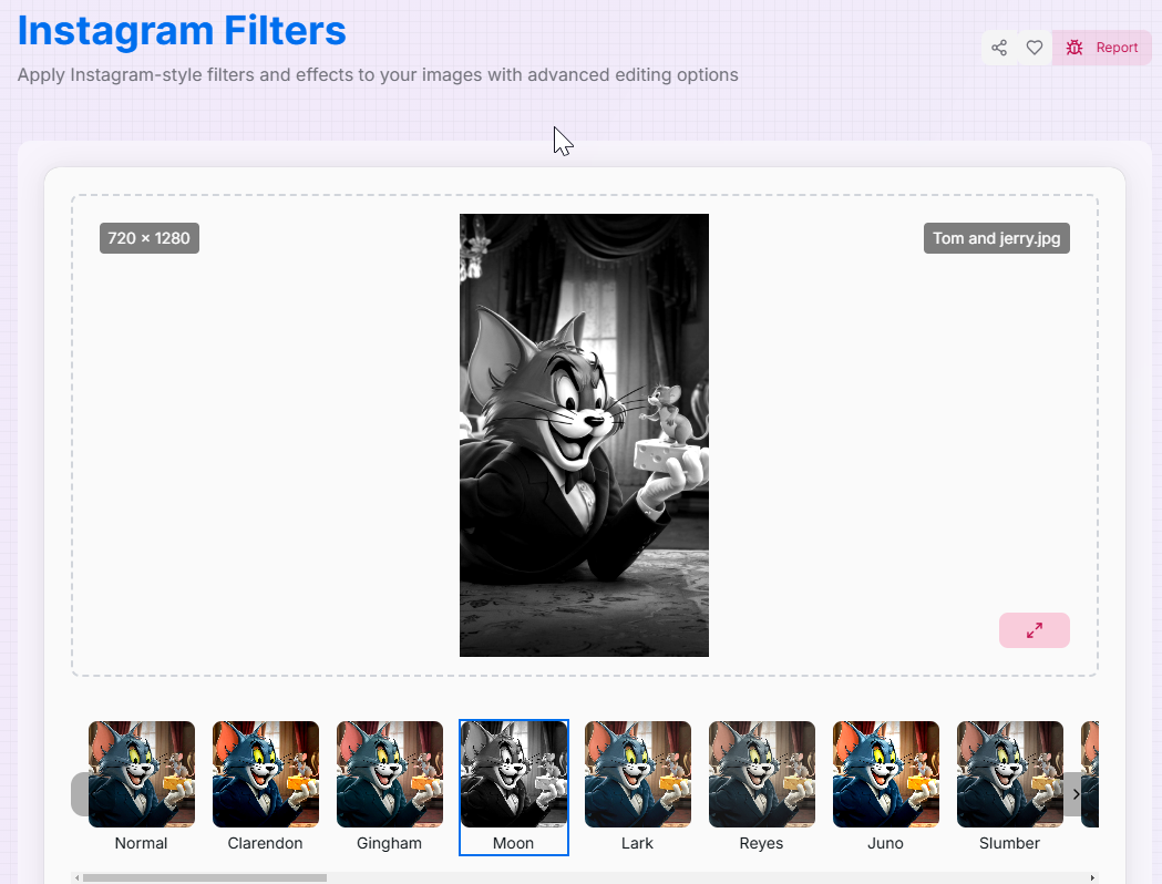 Instagram Filters tool interface showing sidebar filter categories and adjustment panel