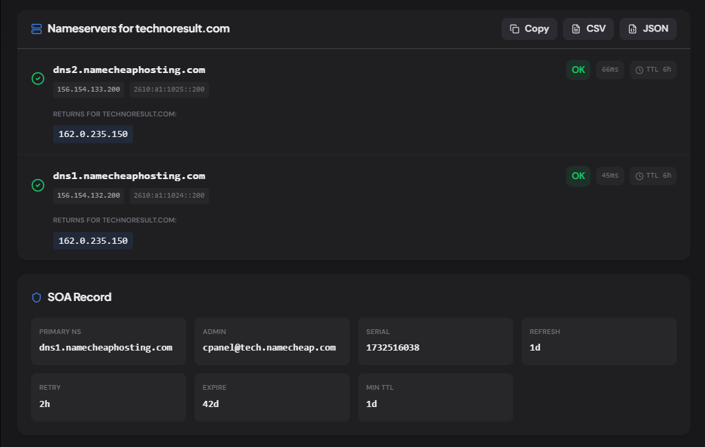 NS Lookup showing nameservers, health status, provider, and SOA