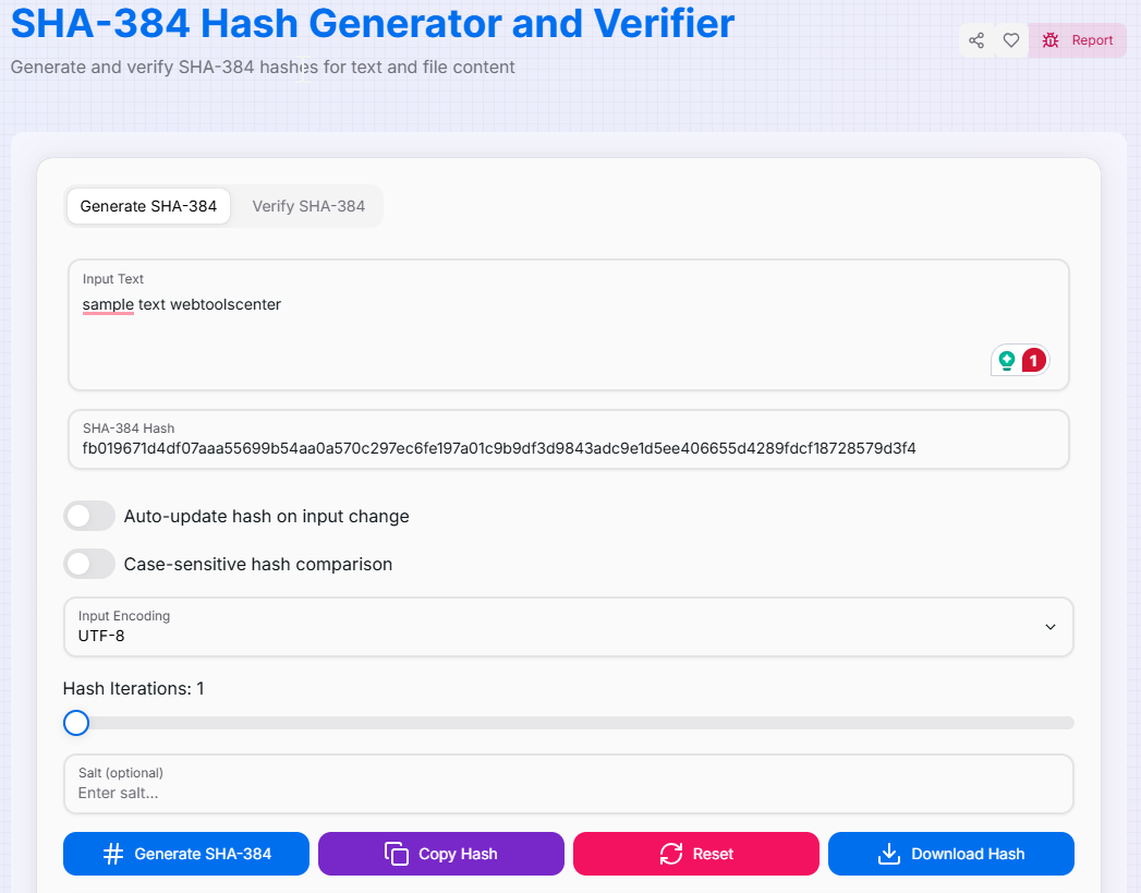 SHA-384 Hash Generator Interface Preview