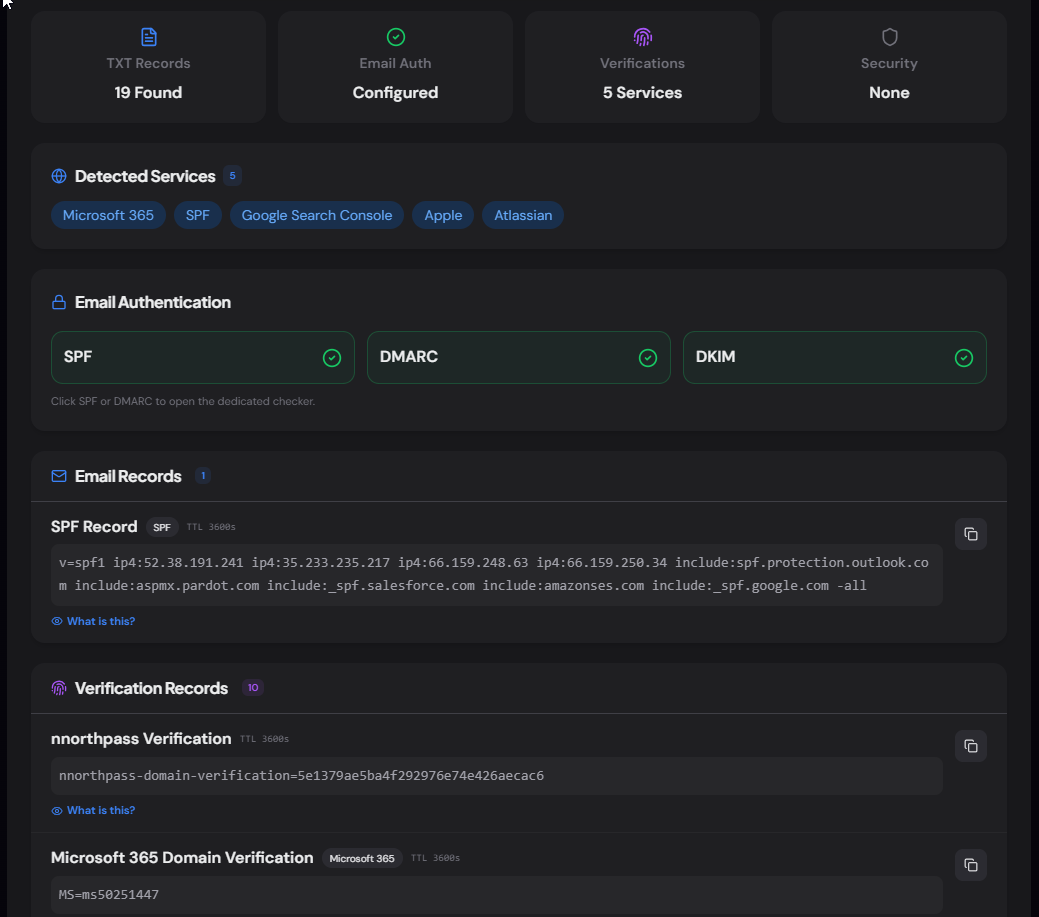 TXT Record Lookup showing classified records and detected services