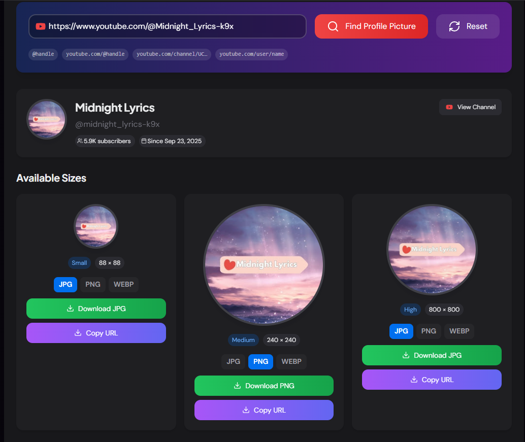 YouTube Profile Picture Downloader showing channel avatar in three sizes