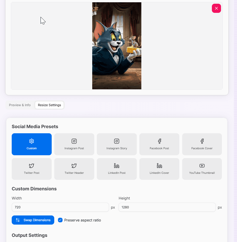Screenshot of the Enhanced Image Resizer interface showing various resizing options and a sample resized image