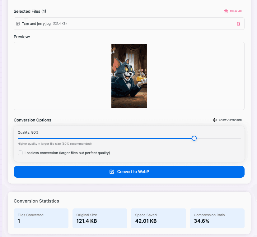 PNG to WebP Converter Interface Preview